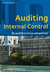 Auditing internal control