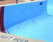 Other bodies, other minds