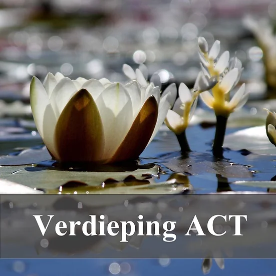 Verdiepingsopleiding Procesgerichte ACT