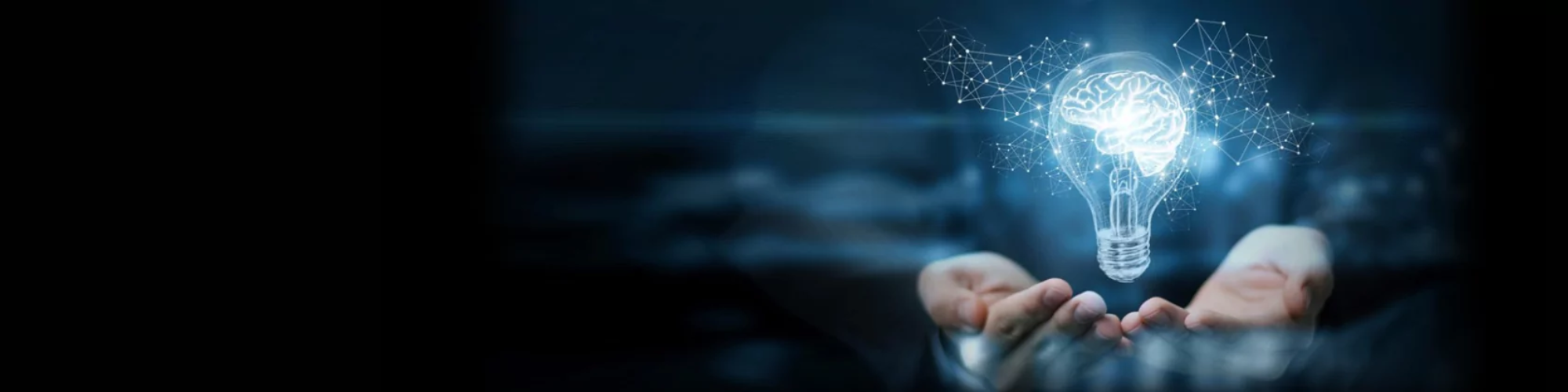 Het brein in ontwikkeling