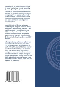 Directors' liability in the twilight zone