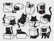 Oefenen met voorzetsels 