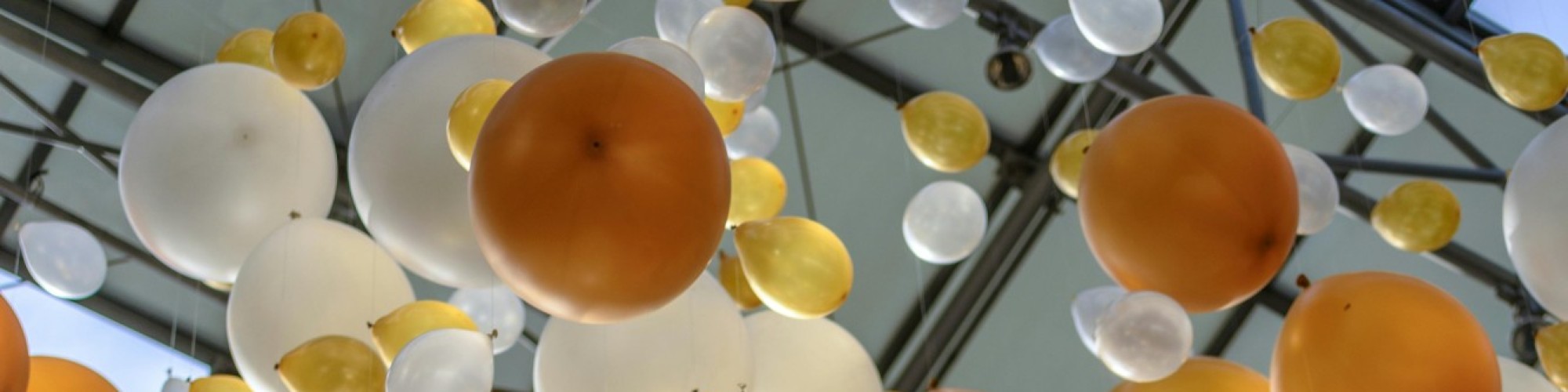 Het grote Boom testevent