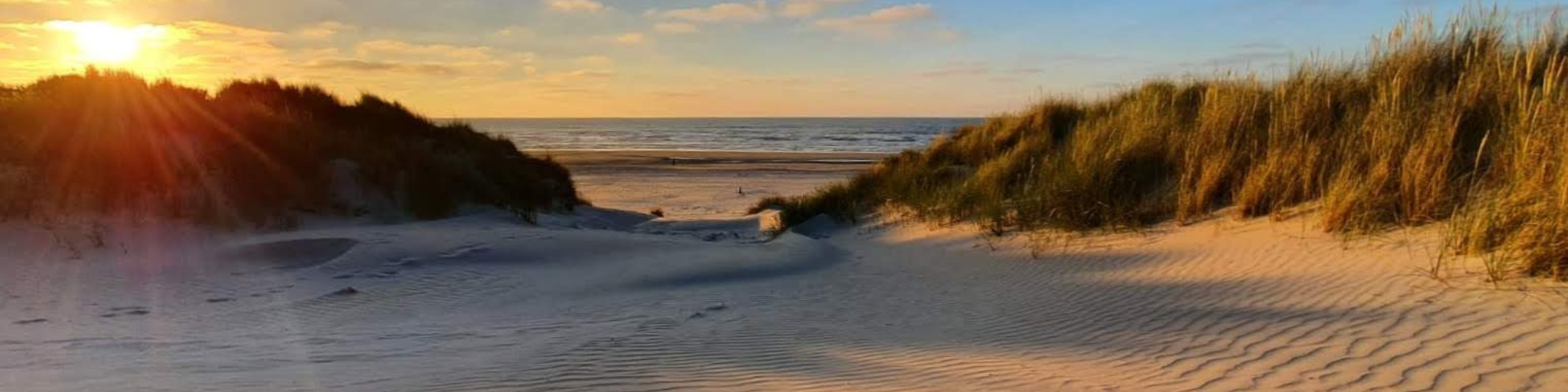 De therapeutische relatie