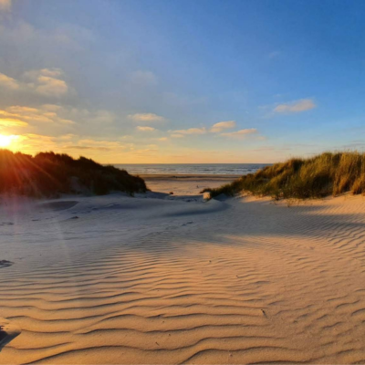 De therapeutische relatie