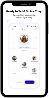 Professionele taalcoach
