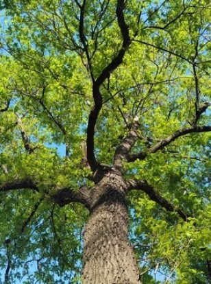 Hoe help je jongeren die vastlopen in hun rouwproces écht verder?