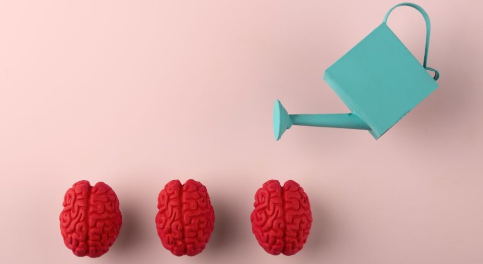 Gewenst gedrag bevorderen