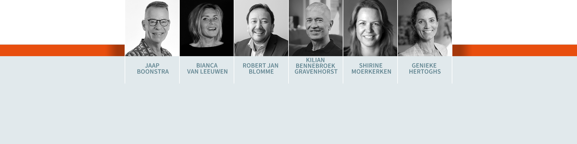 Collegereeks Verandermanagement