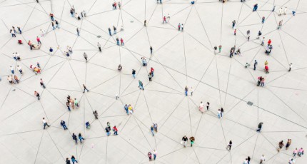 De meerwaarde van de theoriegestuurde psychodiagnostiek in de klinische praktijk deel 2