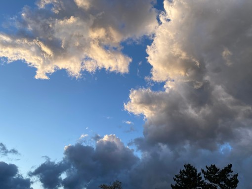 Wat werkt bij suïcidepogingen? De meerwaarde van gecombineerde interventies