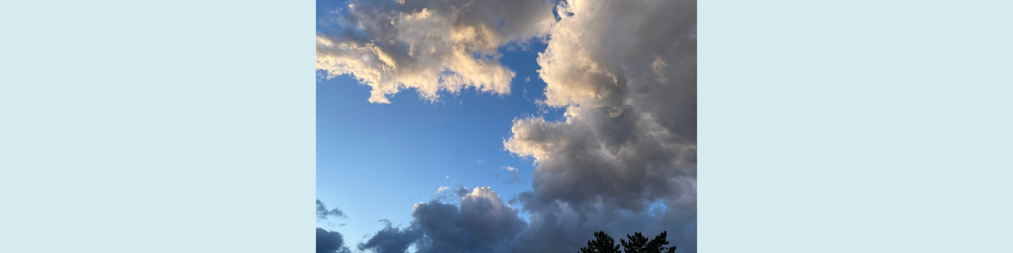 Wat werkt bij suïcidepogingen? De meerwaarde van gecombineerde interventies