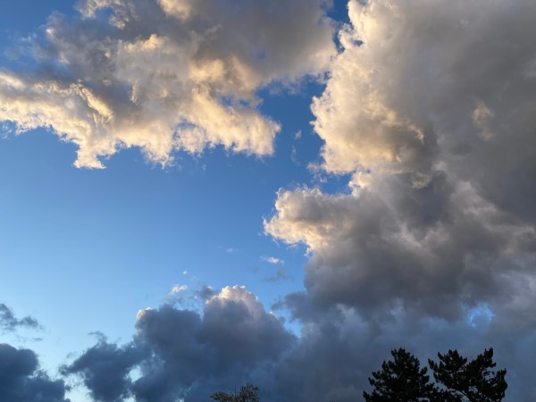 Wat werkt bij suïcidepogingen? De meerwaarde van gecombineerde interventies