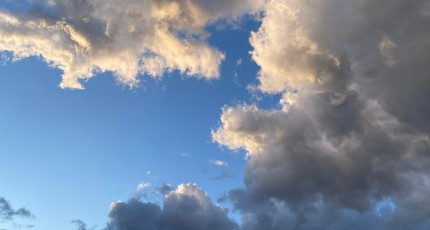 Wat werkt bij suicidepogingen? De meerwaarde van gecombineerde interventies