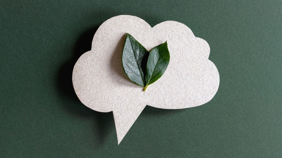 Taal groeit in interactie