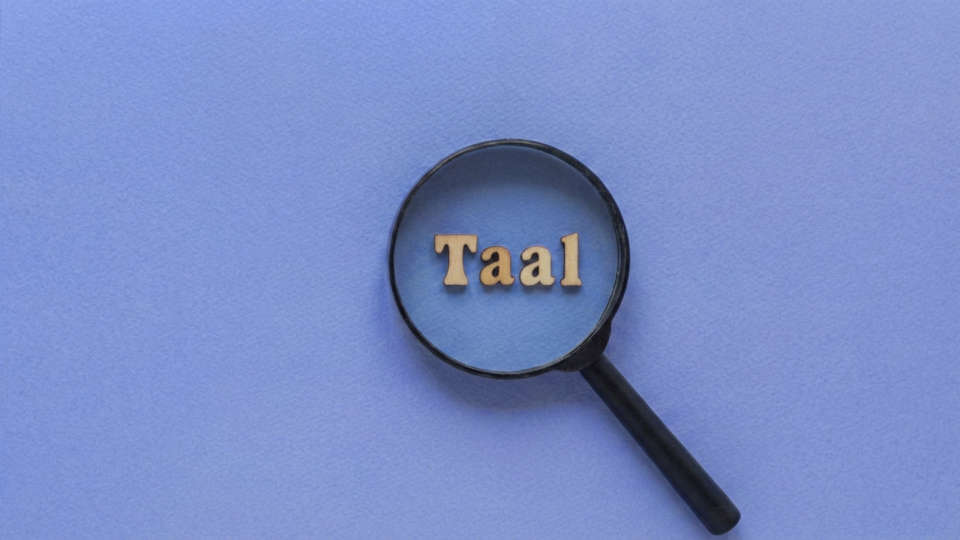 Taalbeschouwing: bewust worden van taal en taalgebruik