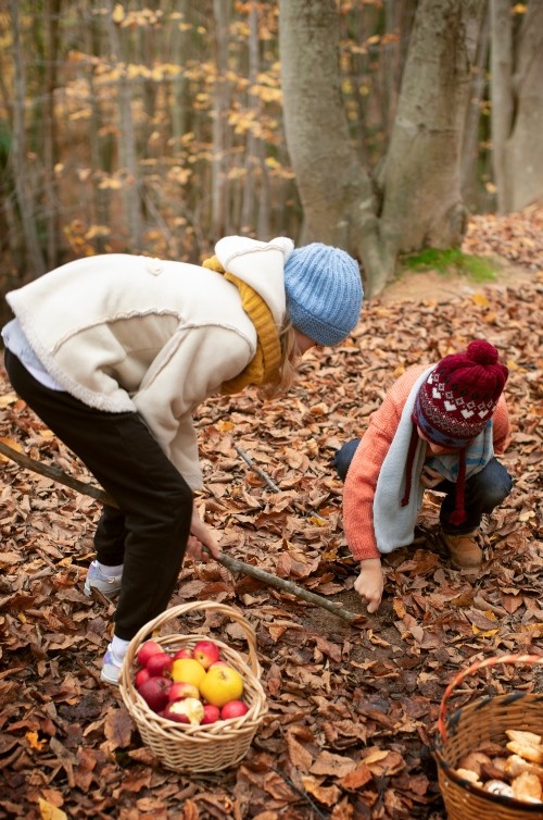 Geschiedenis leren zien: eten zoeken in het bos