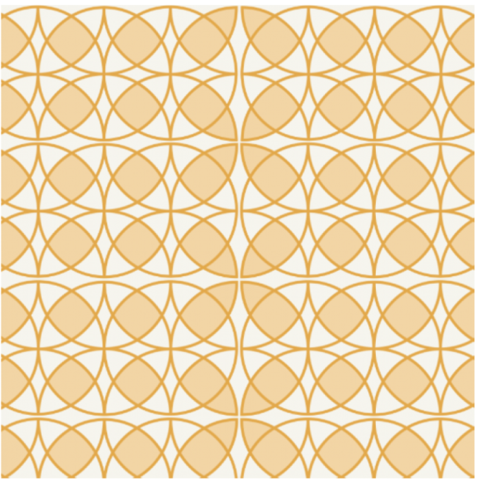 Boom Nederlands voor het mbo