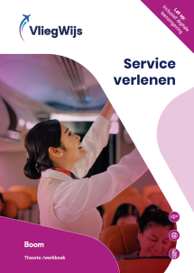 Luchtvaartdienstverlener Service verlenen