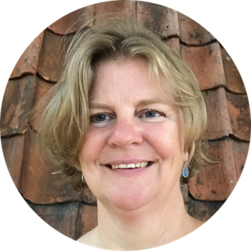 Tekenen als instrument bij het leren | Nicole de Boer