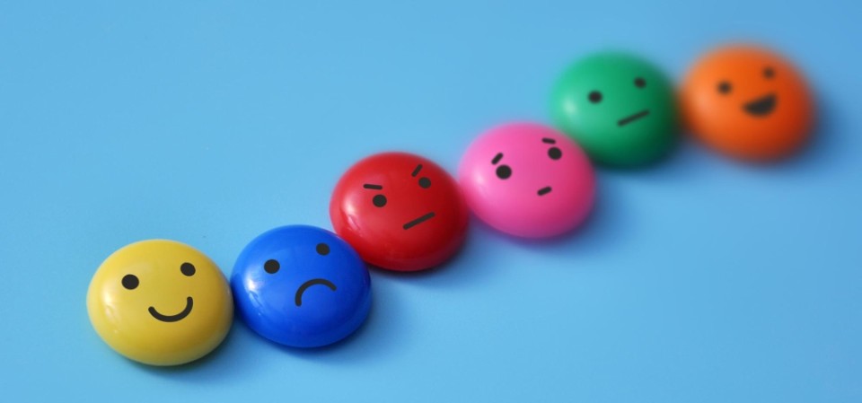 Schaamte, nieuwsgierigheid en frustratie: drie emoties die leren sturen 